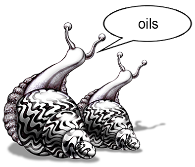 Snails Oils