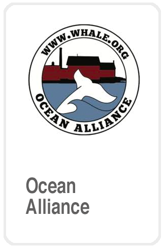 Ocean Alliance Foundation