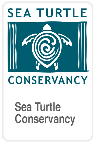 Sea Turtle Conservancy