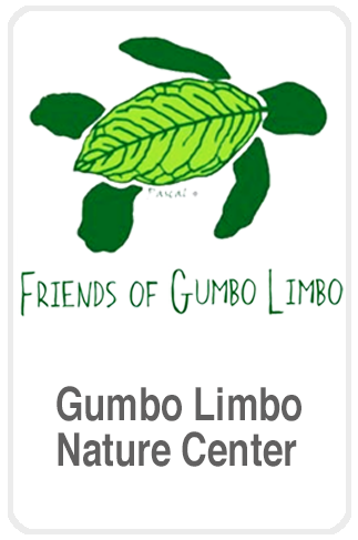 Gumbo Limbo Nature