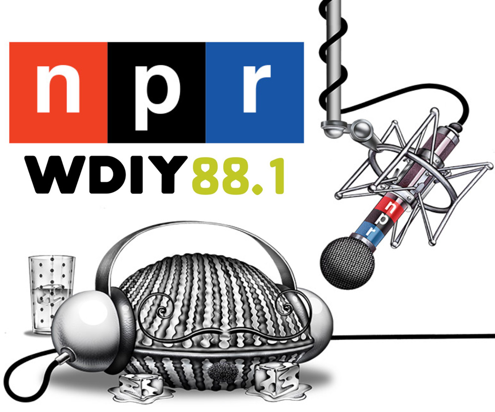 NPR WDYI Interview